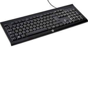 HP K1500 USB Wired Keyboard Keyboard - Image 7