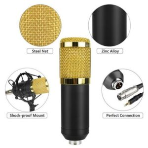 Professional Condenser Microphone with V8 Soundcard - Image 2