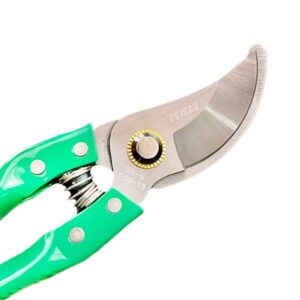 Feibao Branch (Pruning) Shears Professional Garden Scissors(F09-15) - Image 4