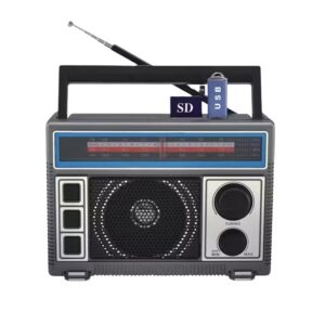 FEPE Rechargeable Radio (Pen Drive)